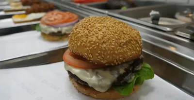 Hamburger